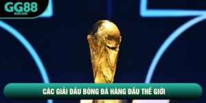 Các Giải Đấu Bóng Đá Hàng Đầu Thế Giới: Cẩm Nang Toàn Diện