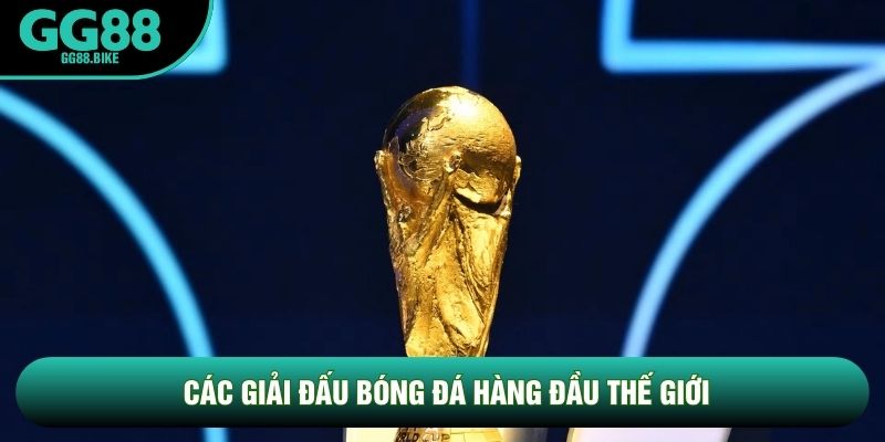 Các Giải Đấu Bóng Đá Hàng Đầu Thế Giới: Cẩm Nang Toàn Diện