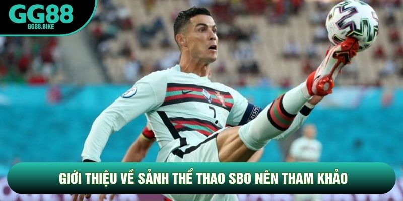 Giới thiệu về sảnh Thể thao SBO nên tham khảo