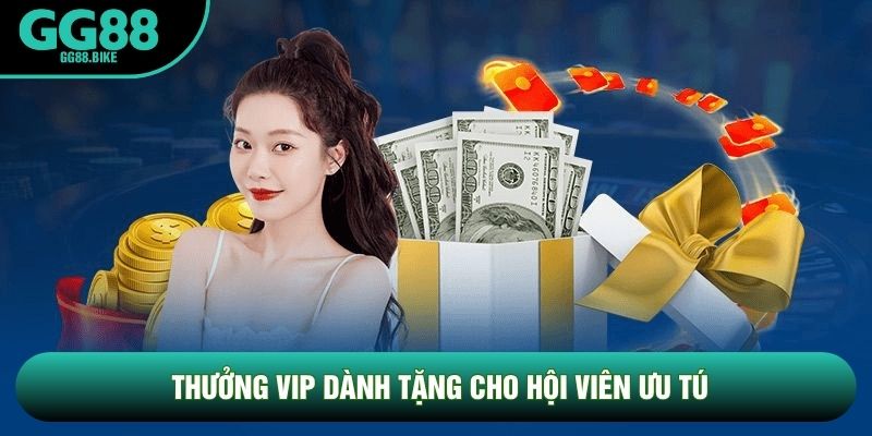 Thưởng Vip dành tặng cho hội viên ưu tú